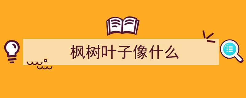 枫树叶红艳映秋，秋色美景更上一层楼"/