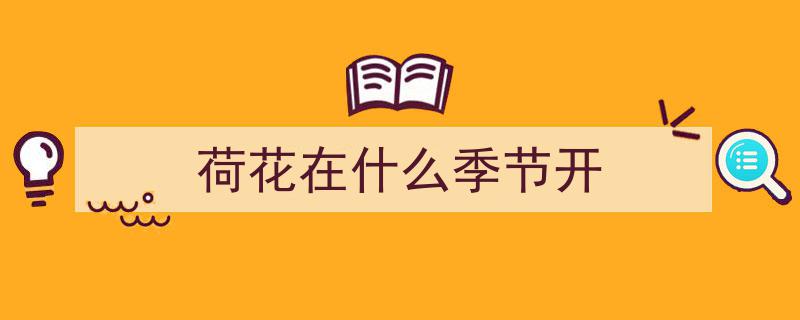 荷花绽放时间揭秘,盛夏为主，南北差异明显"/
