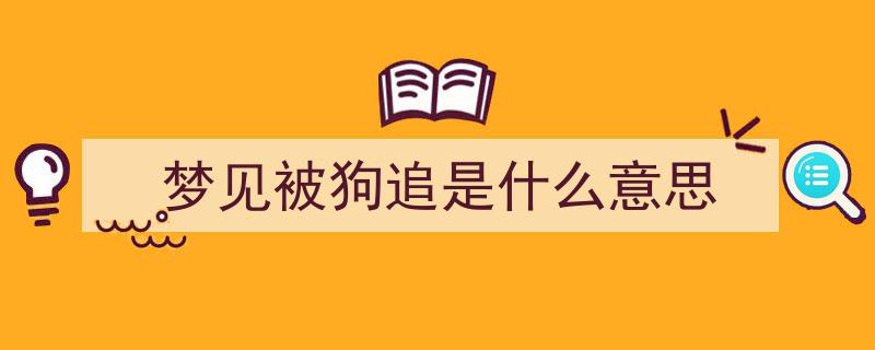 惊魂夜,梦境中的狗追狂奔"/