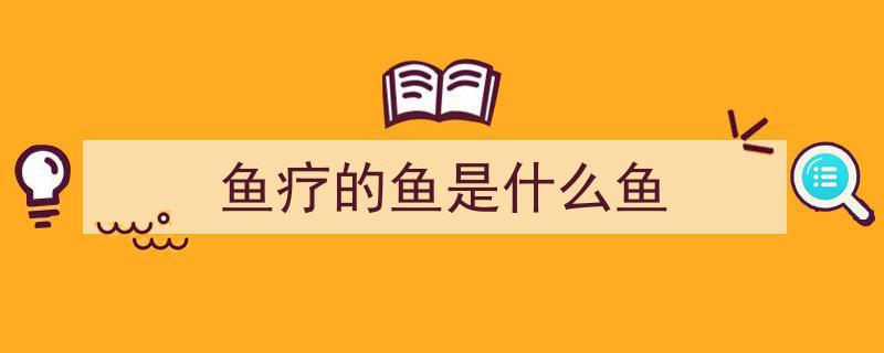 火遍全泰的“小鱼啃脚Spa”揭秘,隐藏的健康风险你可知？"/