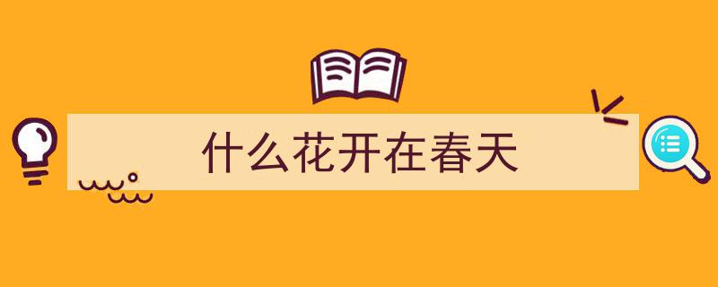 15秒速览山东春色,临沂汶河路玉兰杏花竞相绽放"/