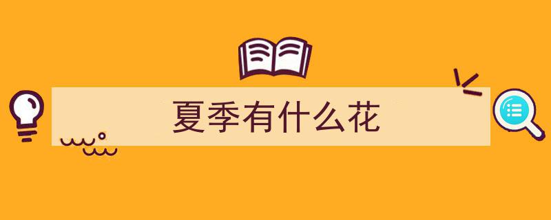 探秘夏日花海,40种夏天常见野花，揭秘它们的神秘名字"/