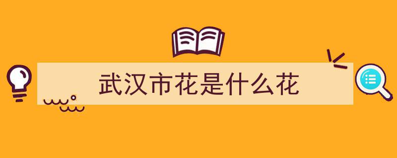 武汉花市半数栀子花溯源于此，一朵栀子花催生“花香产业链”"/