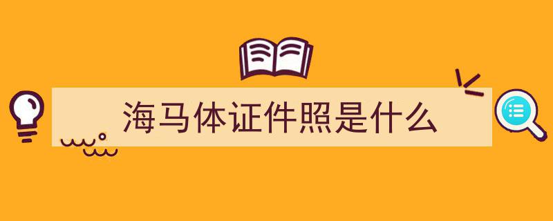 中听之美,海马体匠心打造证件照求真体验"/