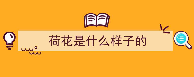 夏日赏荷,那些美到窒息的荷花诗词，醉人心扉，迷醉眼眸"/