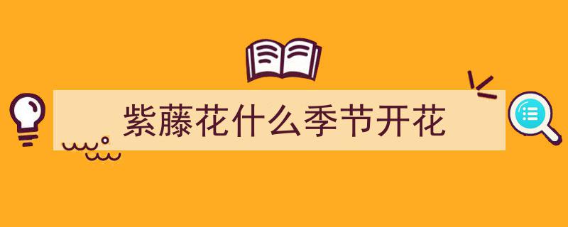 成都桂湖500岁紫藤树再现花开奇迹！专家预警,明年花量恐缩水"/