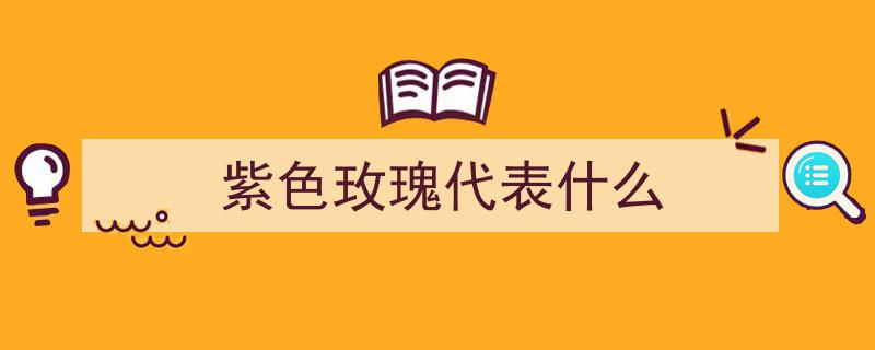 紫色玫瑰,高贵典雅，璀璨如夜空璀璨之星"/
