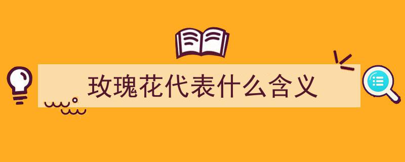 玫瑰花寓意揭秘,你们真的了解花语背后的故事吗？"/