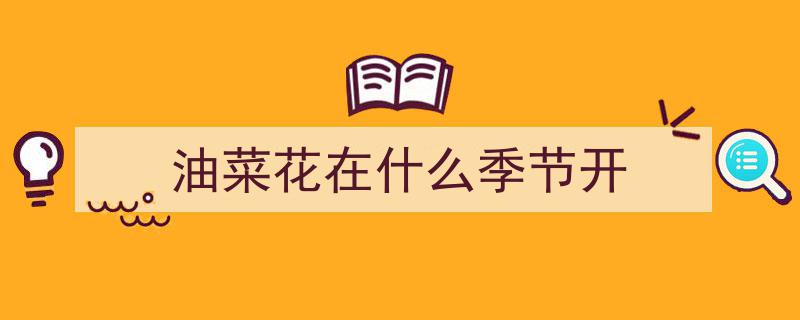 贵州兴义初冬,金黄油菜花海盛放美景如画"/