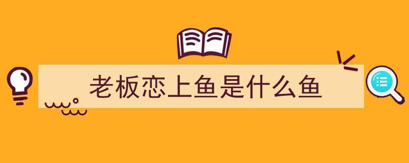 老板恋上鱼风波,兽药超标致歉，曾狂言年销百万烤鱼"/