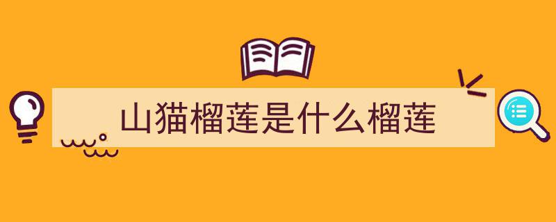 新加坡猫山王榴莲狂降！$5一斤，4年来最低价，实现榴莲自由不再是梦"/