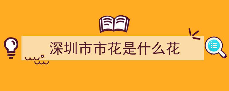深圳三角梅盛放成“妖”，上亿网友围观，火爆程度难以想象！"/