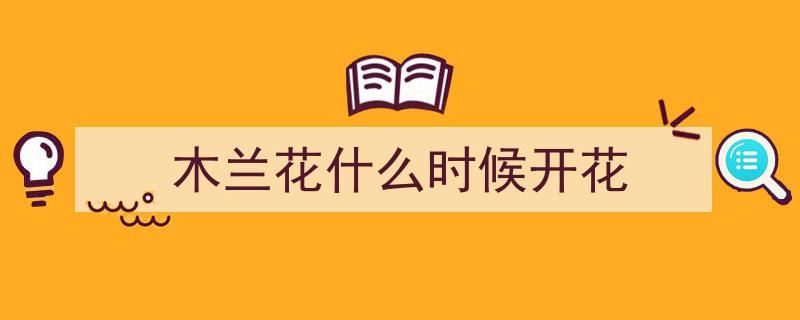 “花开二度”,湖北竹山武当木兰初秋盛景绽放"/