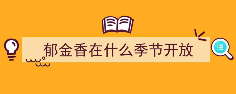 百万株郁金香绽放盛花期！静安花朝节盛况空前，速来打卡高光美景"/