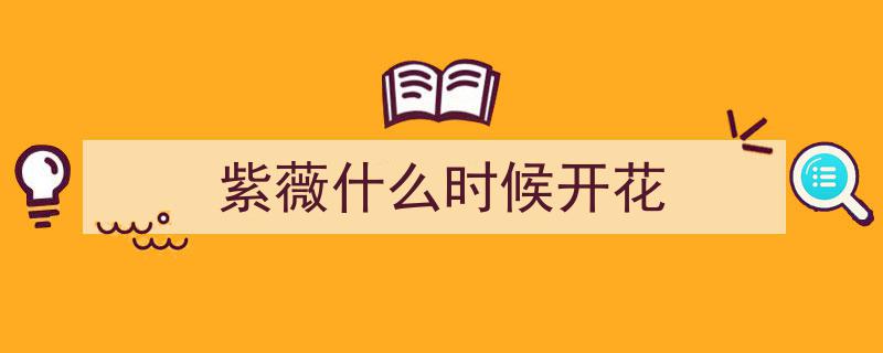 花开正艳,美丽的紫薇，盛放时节尽展芳华！"/