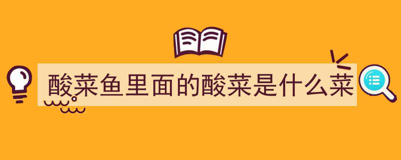 酸菜鱼秘籍,避免直接下锅煮酸菜，牢记三要点，鱼片滑嫩汤鲜，轻松掌握烹饪技巧！"/