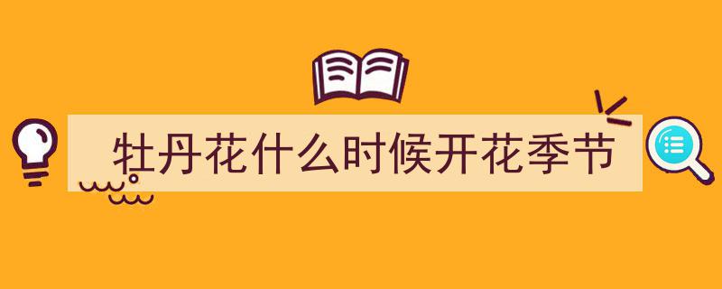 国色天香，花中富贵——探寻中国国花牡丹花的魅力"/