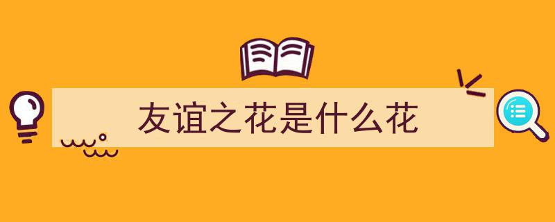 药洲友谊之花，香飘喜马拉雅——边城见闻录"/