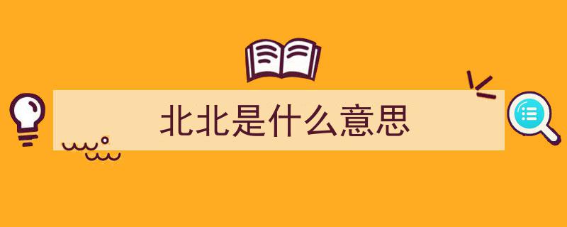 小候鸟翱翔6000公里，与戍边“北极”爸爸团聚，国旗之名烙印心间——中国最北国旗下，见证家国情怀"/