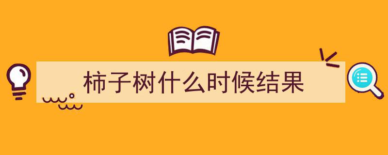 柿子树生长周期揭秘,了解柿子树几年才能结果"/