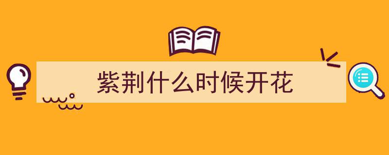 2023年柳州市首份洋紫荆花期预测,预计4月5日左右盛放"/