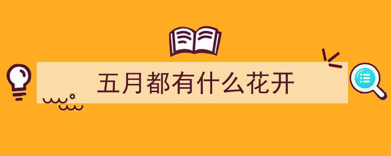蓝花楹映桃樱梨，花开二度春意浓——探寻花事重演之谜"/