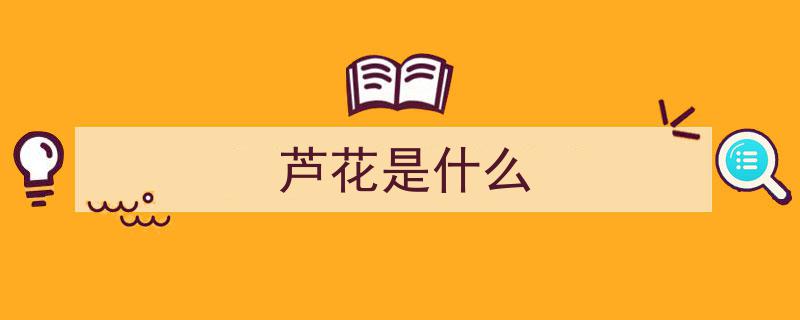 揭秘奇观,“你想看的芦花”其实不是花——图集大赏"/