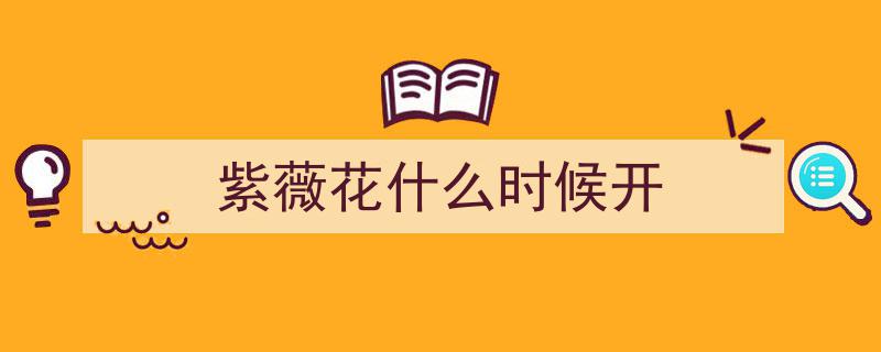 京城盛景,紫薇花盛开，这份赏花指南助您尽享春意！"/