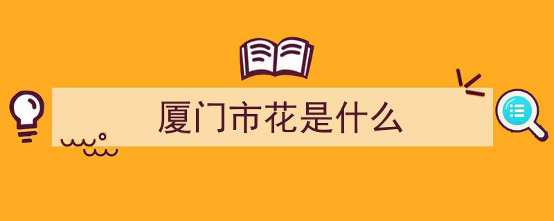 厦门春色,蓝花楹盛开，浪漫气息弥漫全城"/