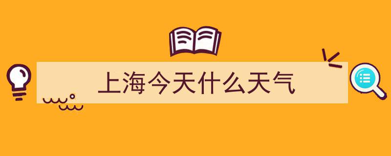 上海高温黄色预警升级！台风接踵而至，双重挑战来袭！"/
