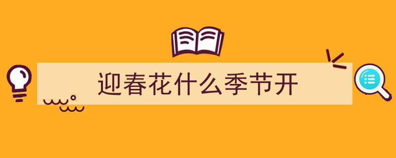 初冬满乡韵，迎春花二次绽放盛景"/