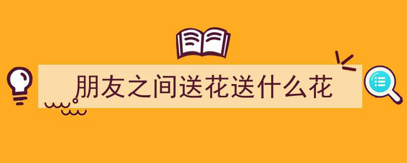 探秘常见的送花种类,传递情感的艺术之选"/