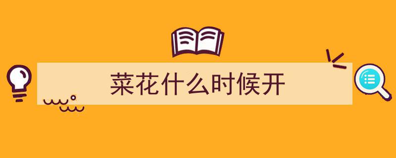 江苏高邮千亩菜花湖畔盛开，八方宾客共享春日花海盛宴"/