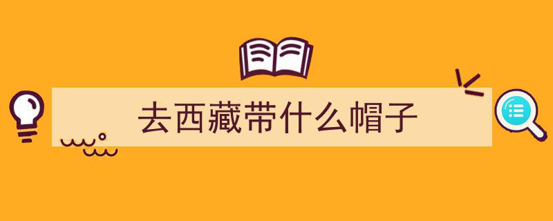 超全！这份西藏旅游避雷指南，不看真的会后悔！"/