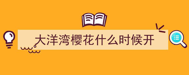 美不胜收！樱花盛开，春日浪漫绽放"/