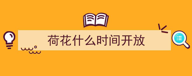 这里的荷花，盛夏绽放，惊艳了时光！"/