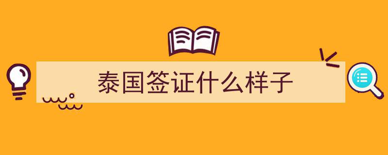 泰国签证攻略,办理哪个类型最适合你的旅行需求？"/