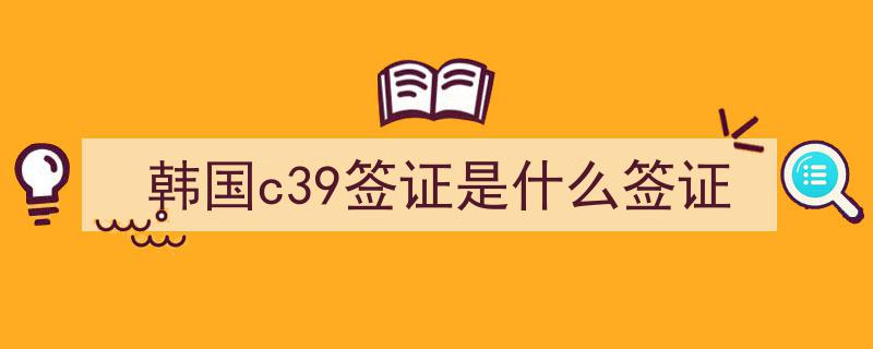 韩国C39十年多次往返签证,详尽资料解读与攻略"/