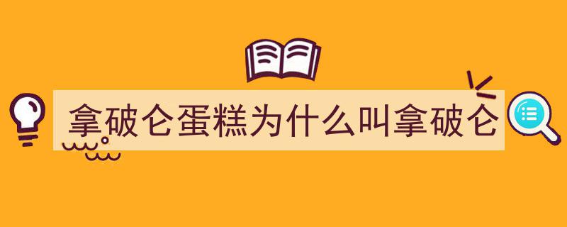 「新民晚报」西坡,拿破仑的传奇人生与军事智慧"/