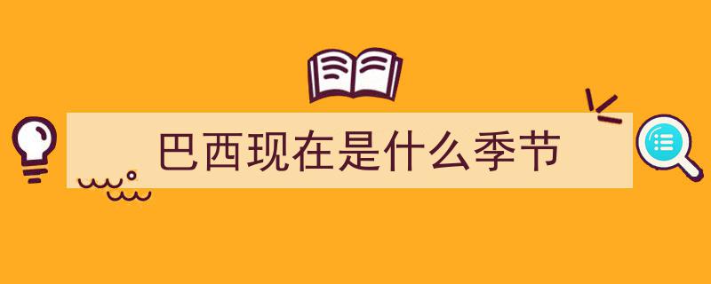 巴西,粮食出口大国背后的3000万食不果腹之谜"/