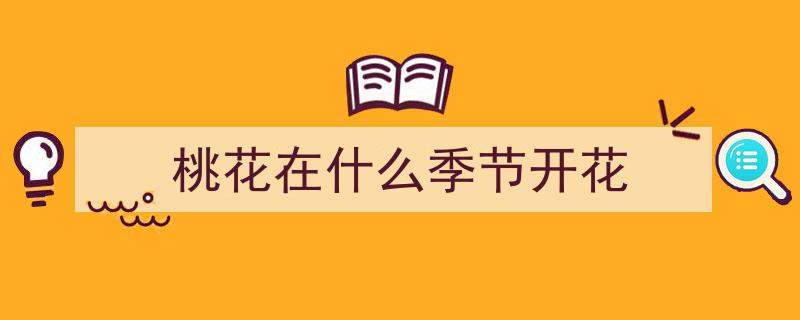 九月桃花盛开时，你的爱情玫瑰，准备好了吗？"/