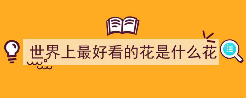 男子晒窗台兰花，美若花帘子引热议,这富贵气息，简直太高调了！"/