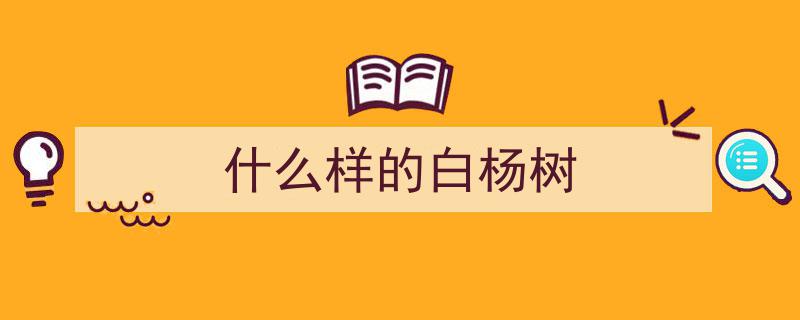 冬日映雪的白杨,寒冬里的坚韧守护者"/