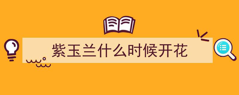 春意盎然,紫玉兰花开，醉美校园景"/