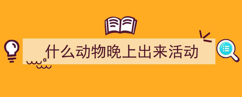星空下的守望者,仰望星空的动物们"/