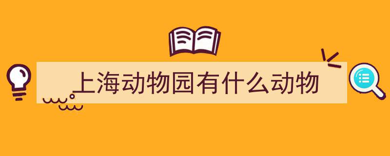 天线猫萌动，蛤蜊炖蛋美味,上海动物园小萌宠集结亮相"/
