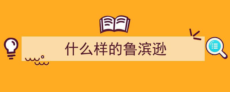 “「悦读南安」南安市第六小学,培育鲁滨逊精神，塑造正直勇敢新少年”"/