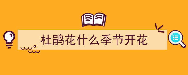 杜鹃花开映幸福，春意盎然迎好运"/