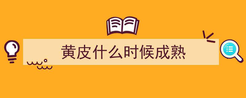 金秋时节,黄皮果成熟的季节，甜蜜来袭！"/