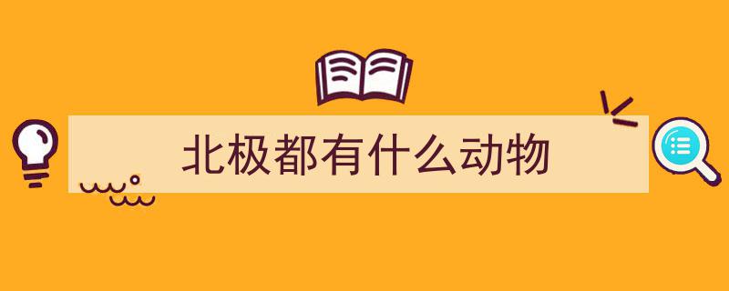 地球上12种北极动物大盘点，涨姿势了有没有？"/